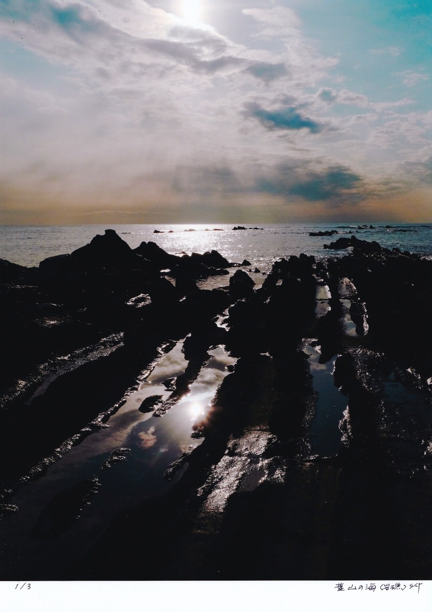 葉山の海 (岩礁)(1/3)