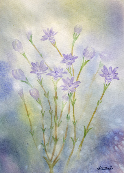 青い花
