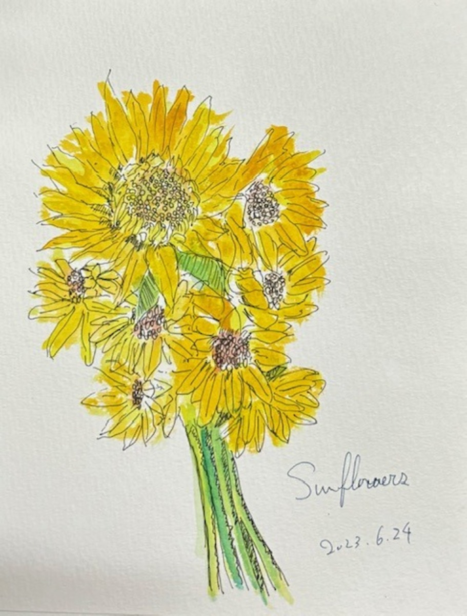 Sunflower3