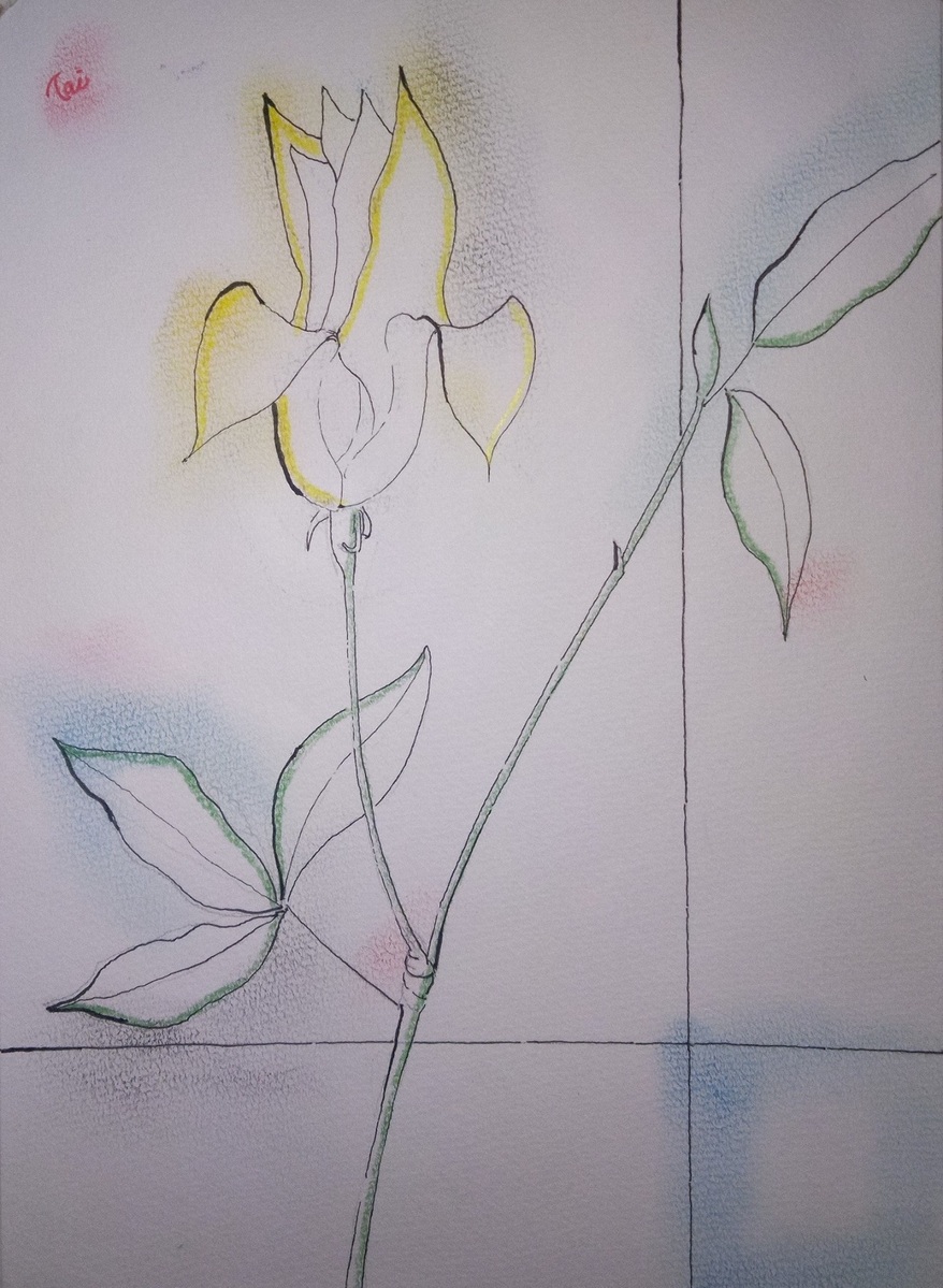 ひとり、木蓮。