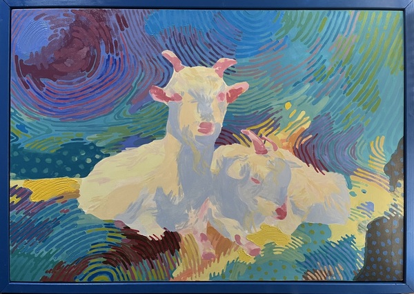 summer sheep