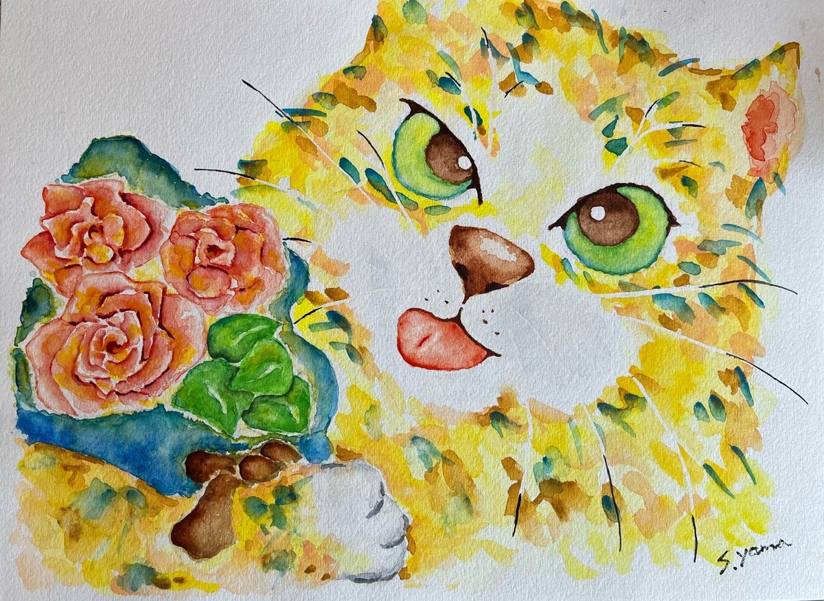 猫です。