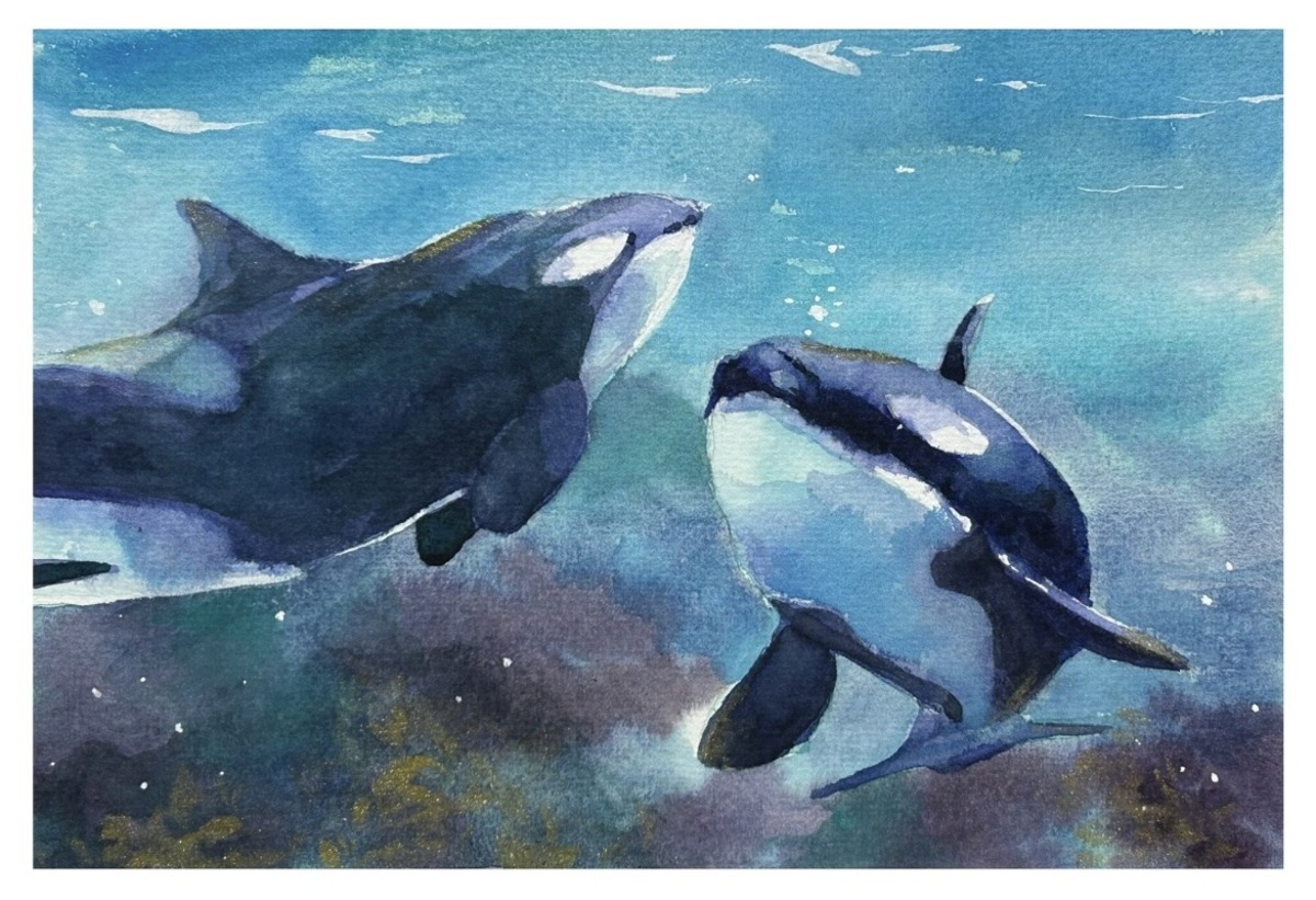 orca