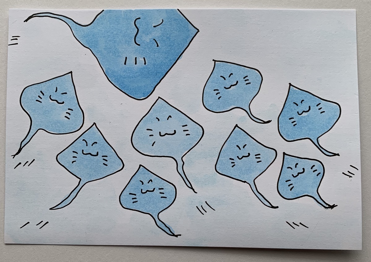 気合を入れに来ました「えいっ!」
