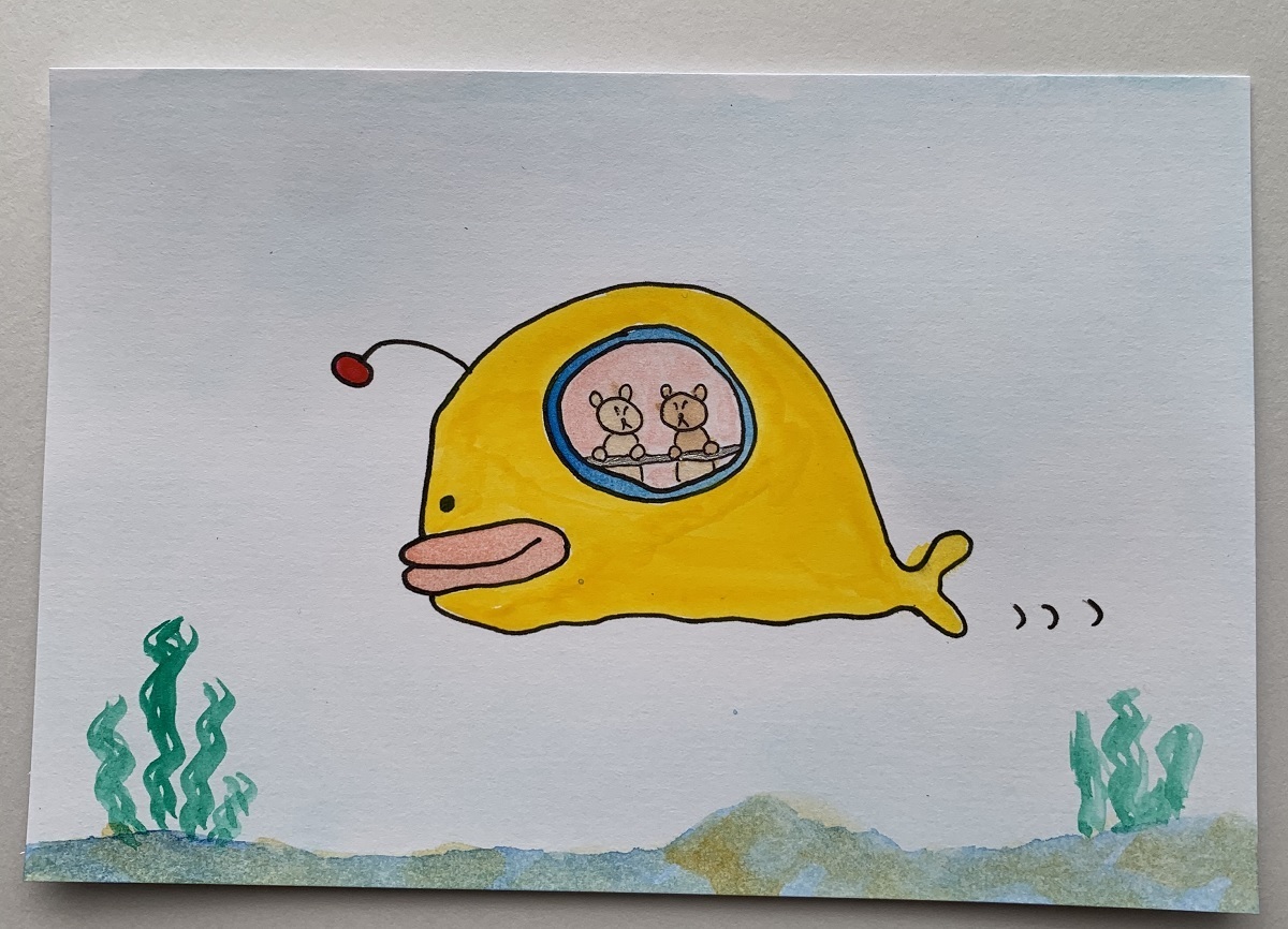 水中観光