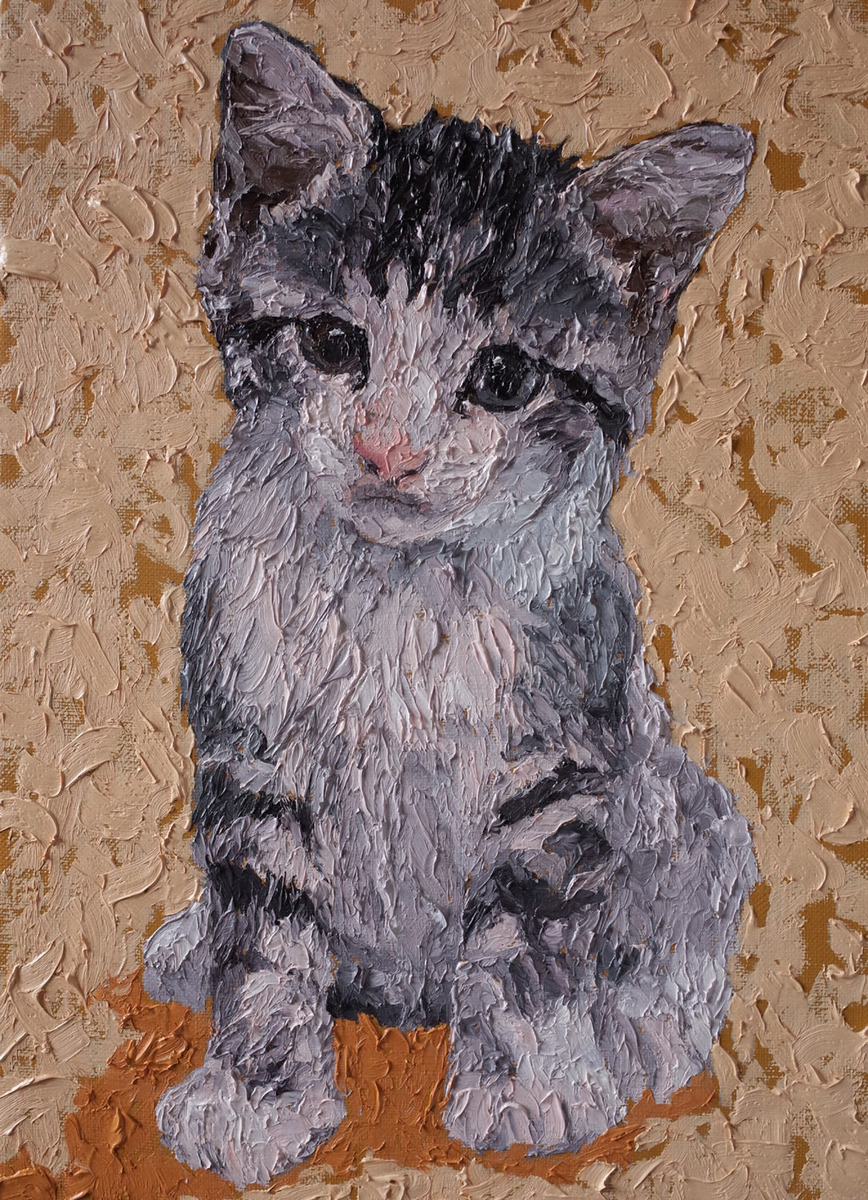 子猫 #371