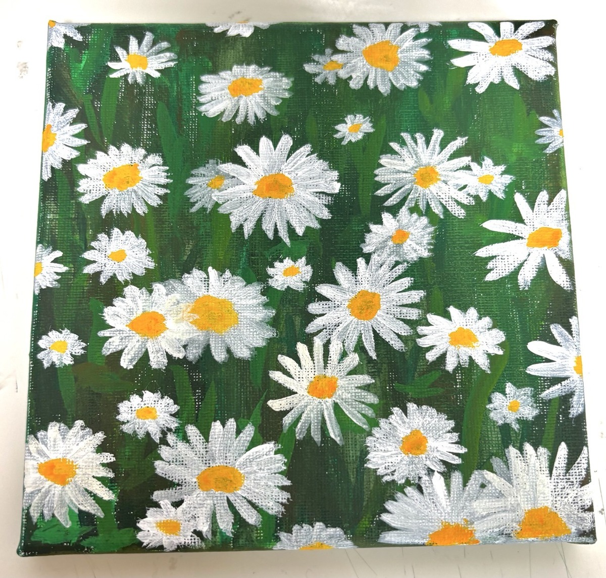 chamomile!!