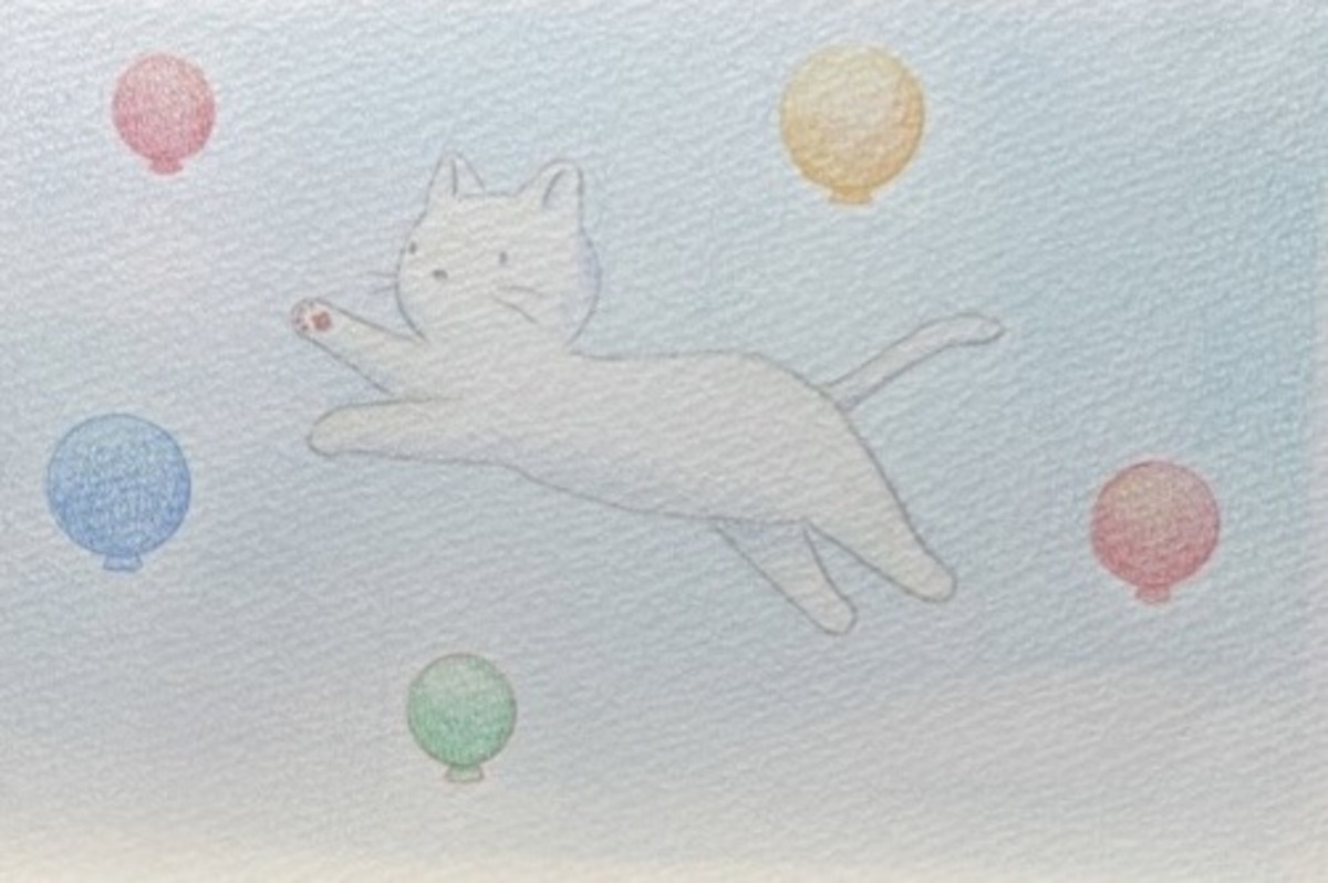 空飛ぶねこ