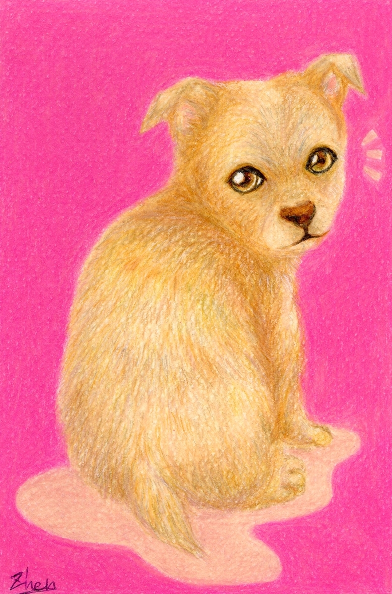 よんだ?