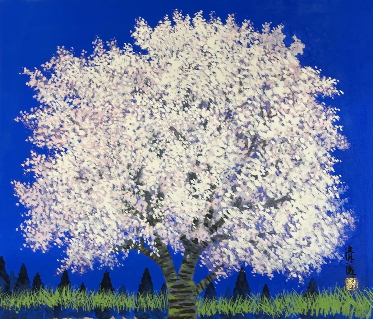 晴天桜花