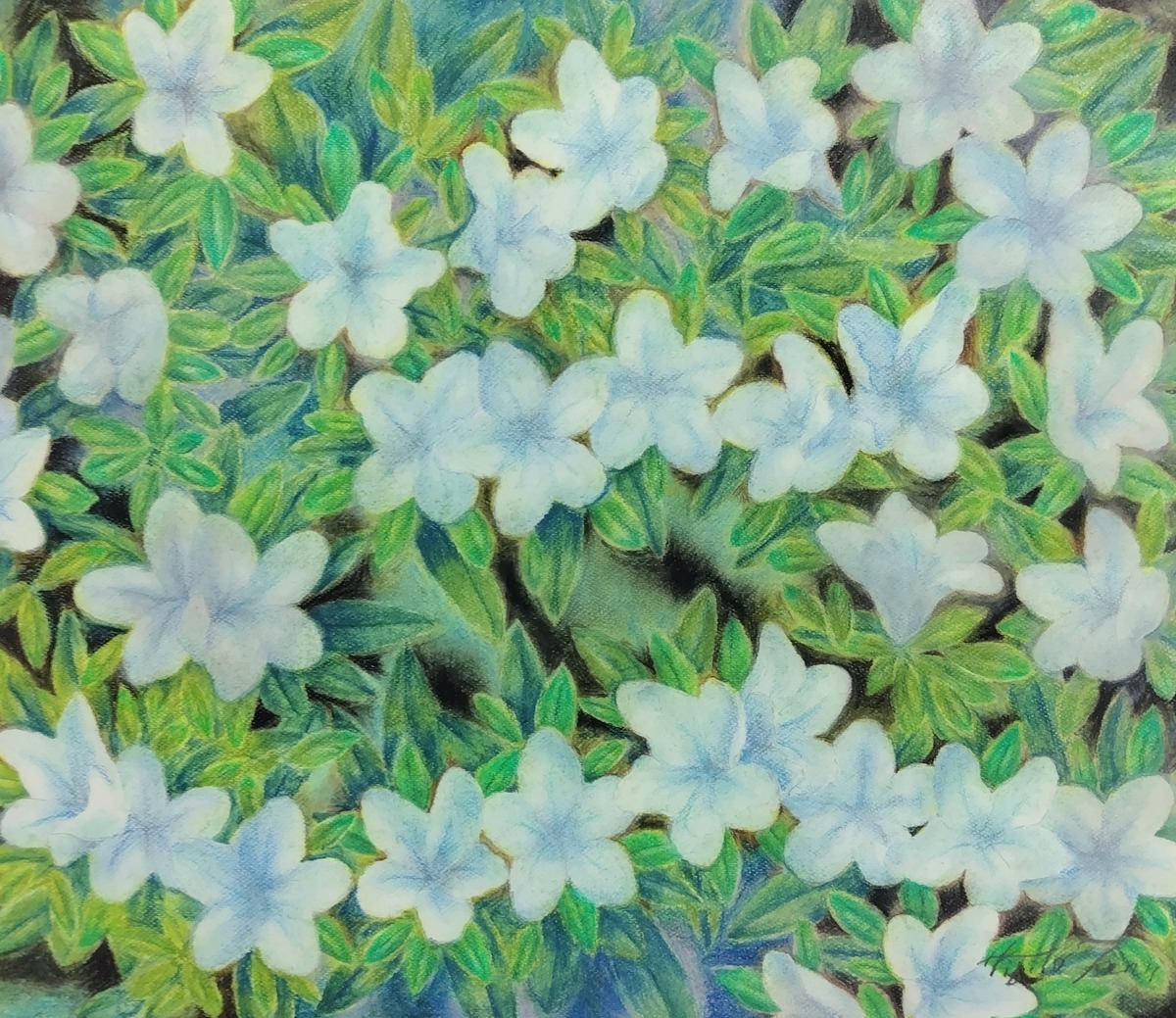 即今当花