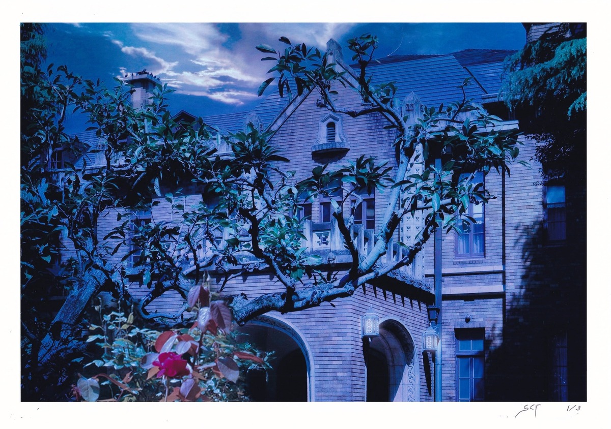 夢幻遊行・Purple (1/3)