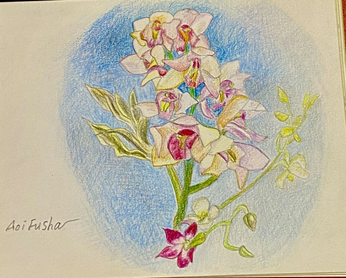 Bloom1(手描きの蘭の絵 ピンク)