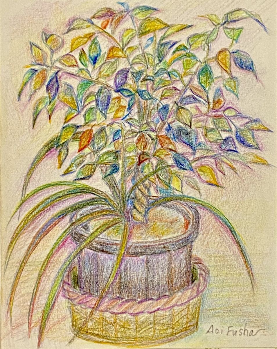 Bloom3(観葉植物の絵 色鉛筆画)