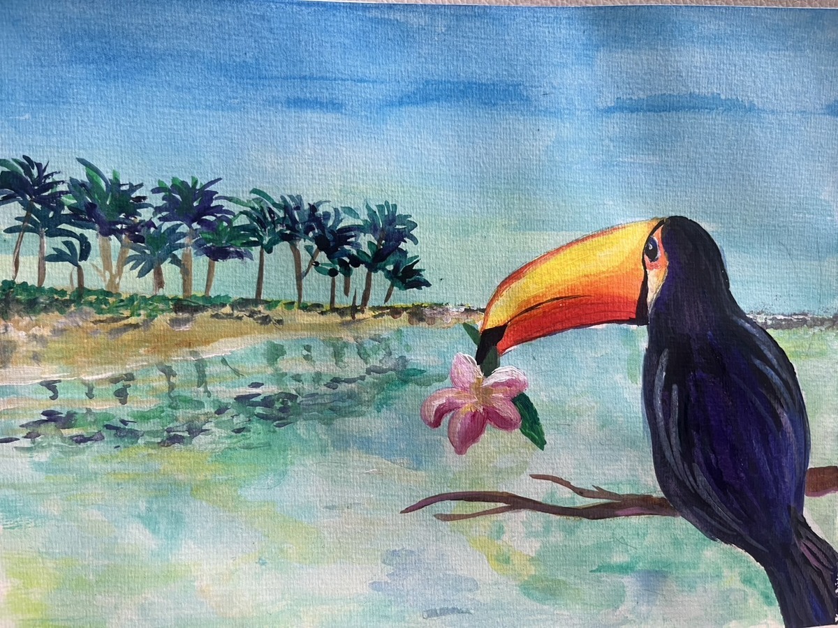 オオハシと海