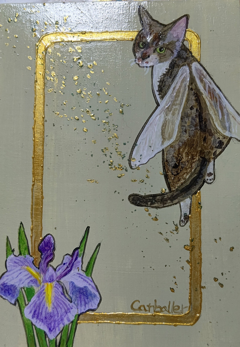 花菖蒲
