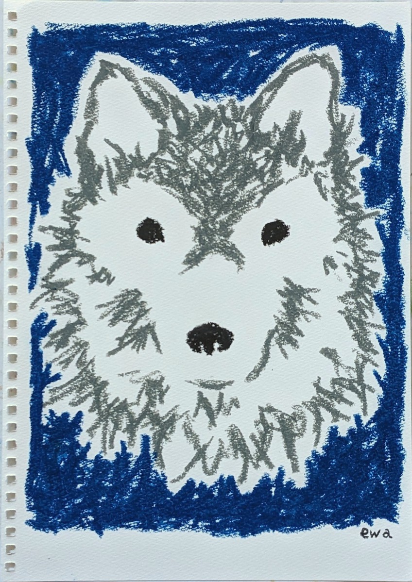 オオカミ