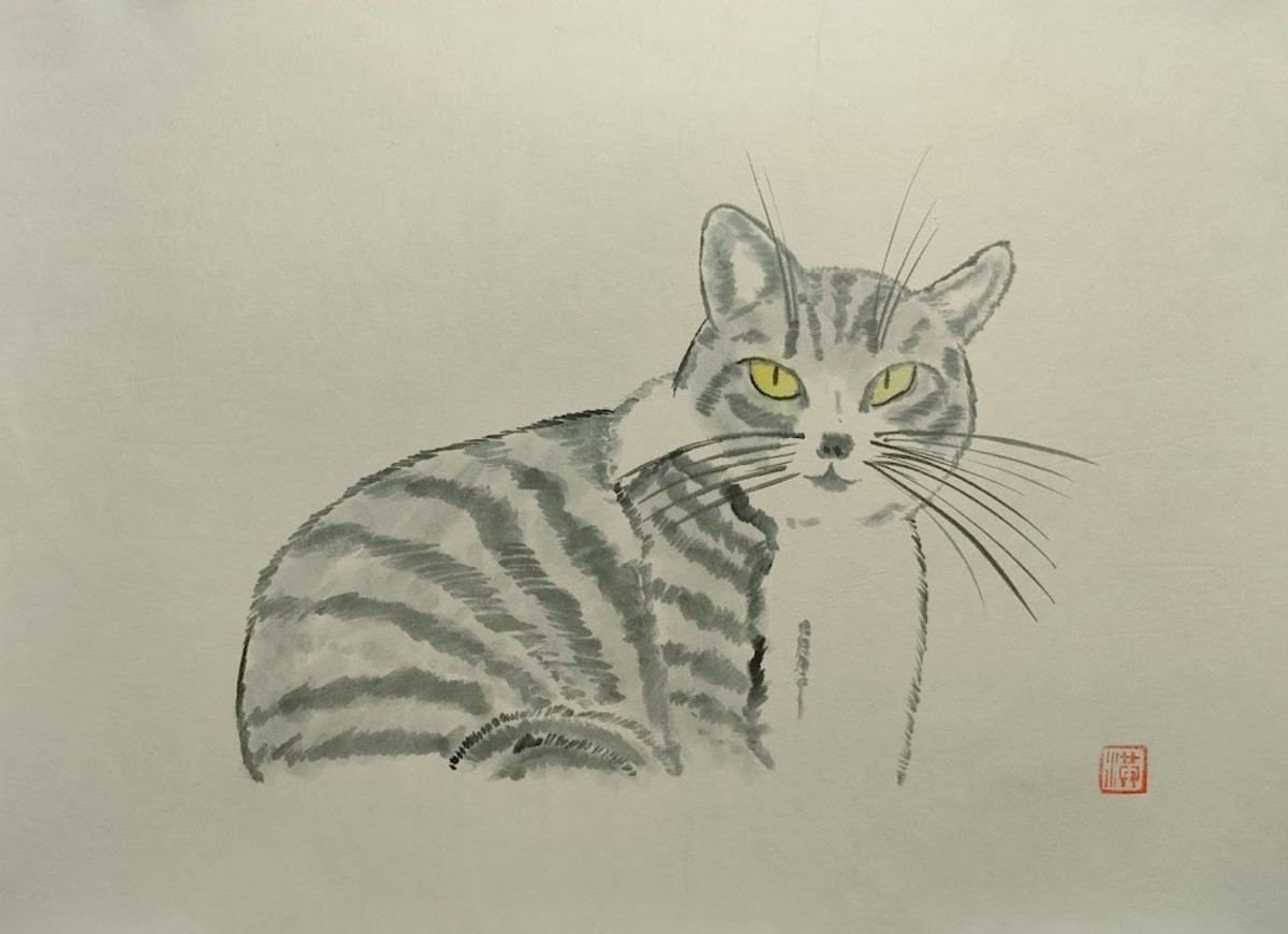 軒先の猫