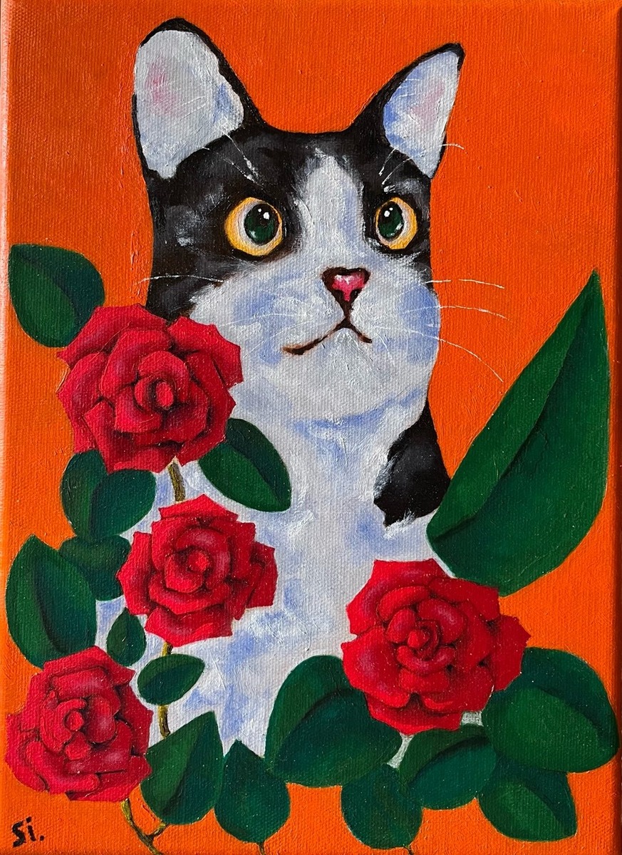 cats