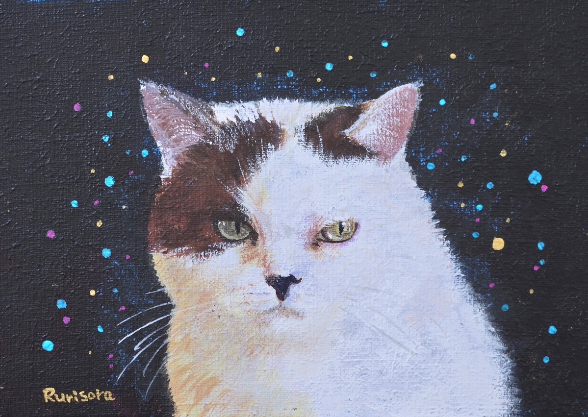 無愛想猫