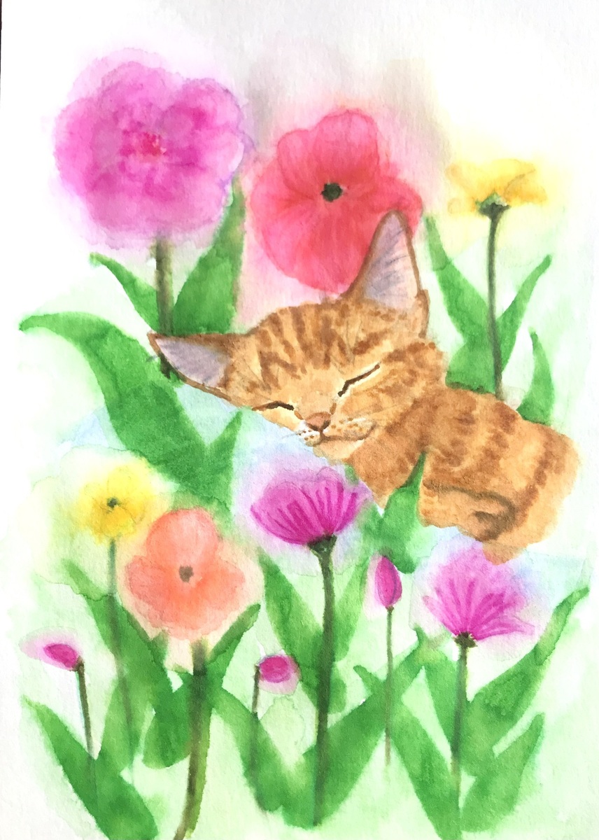 お昼寝にゃんこ