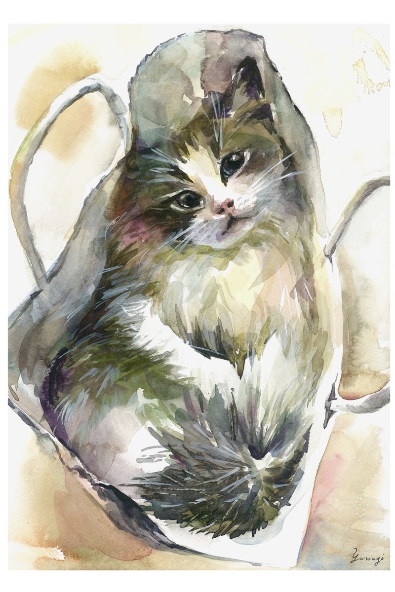 袋猫