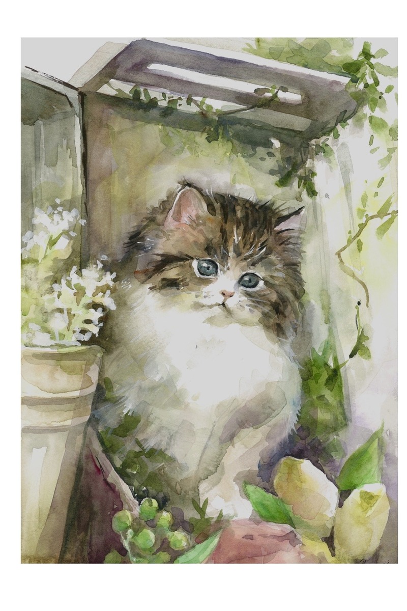 仔猫