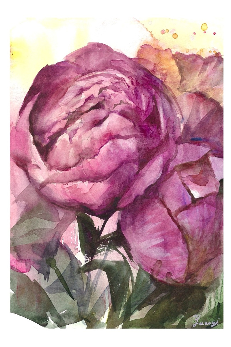 まーるい薔薇