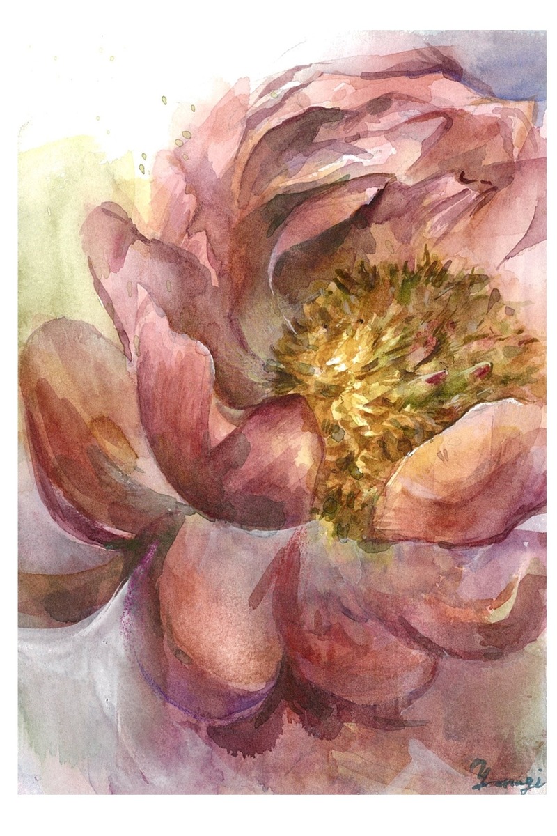 牡丹の花