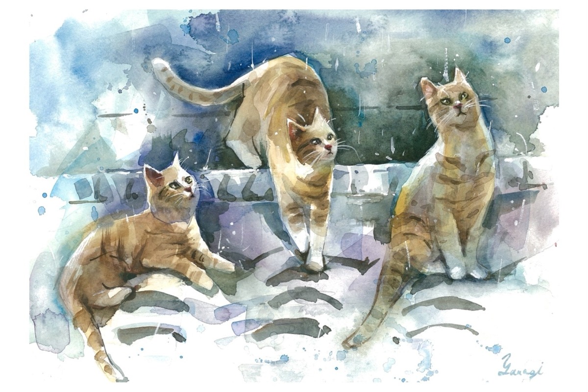 雨と猫