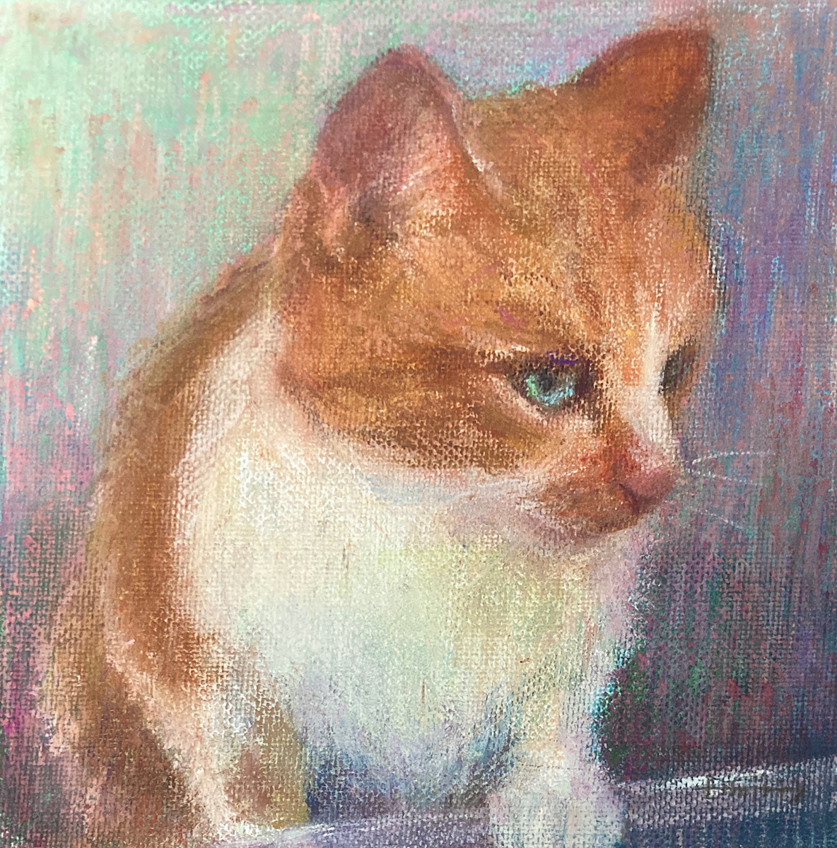 Cat No.1