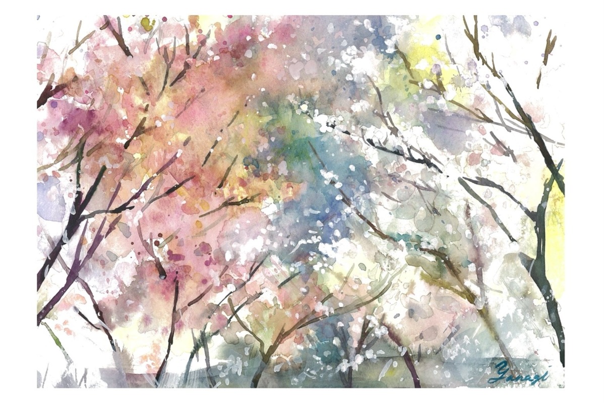 紅白