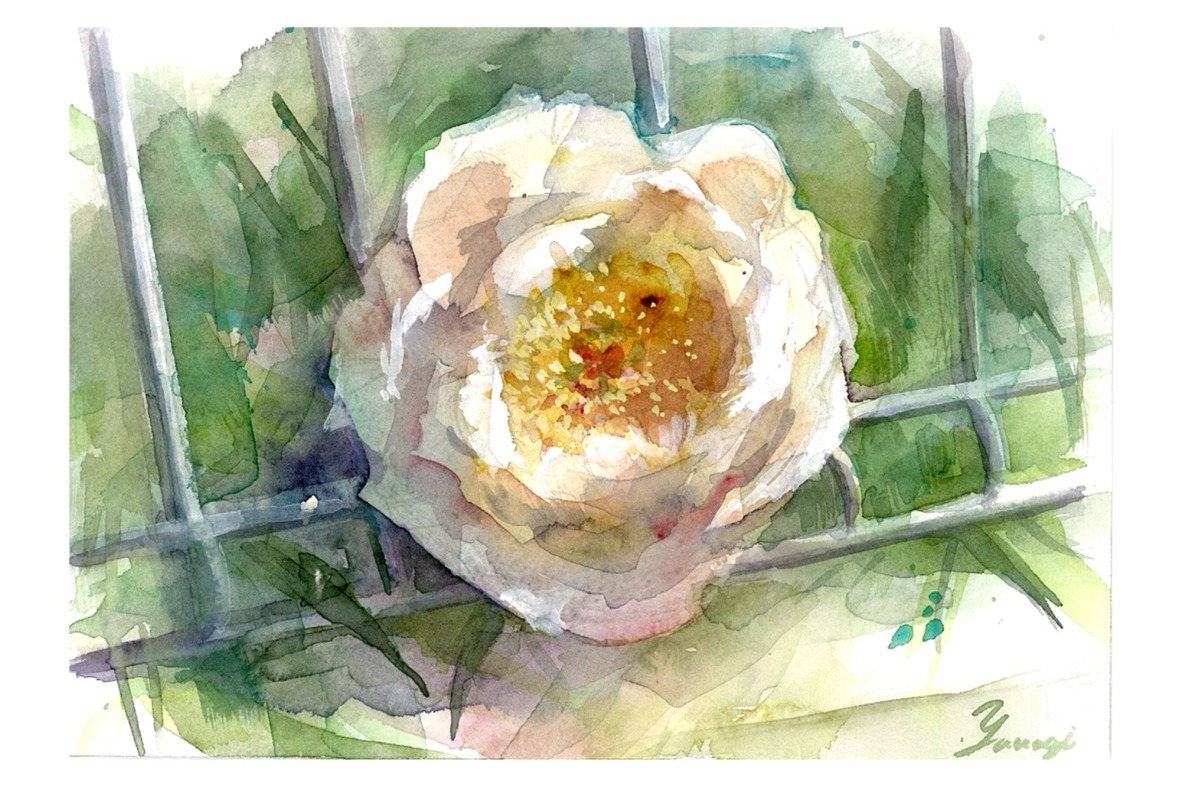 道端の花