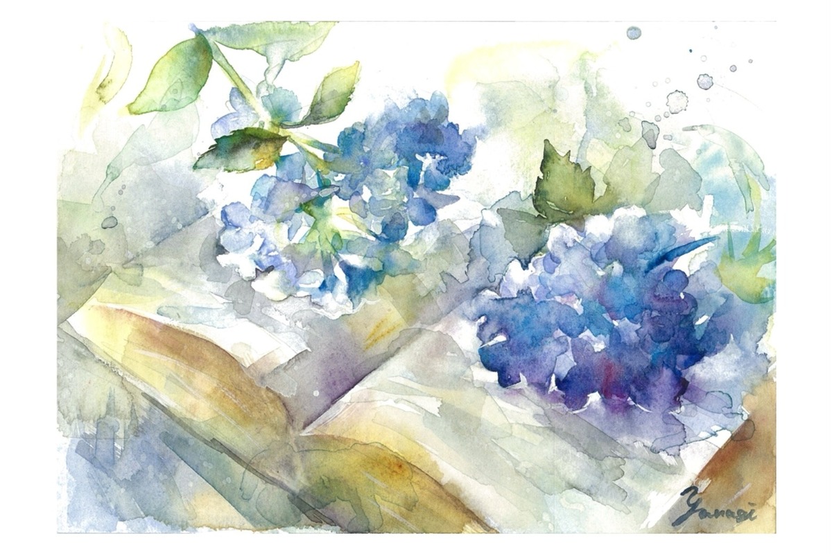 紫陽花