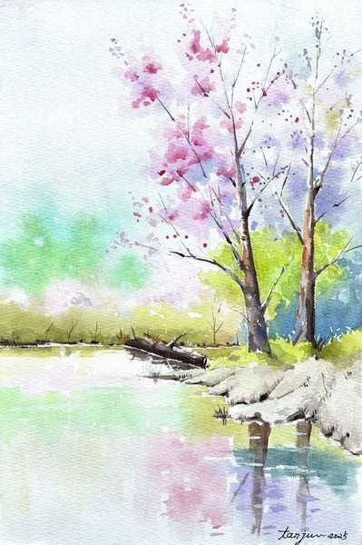 自然風景