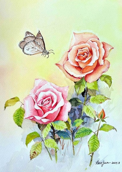 薔薇