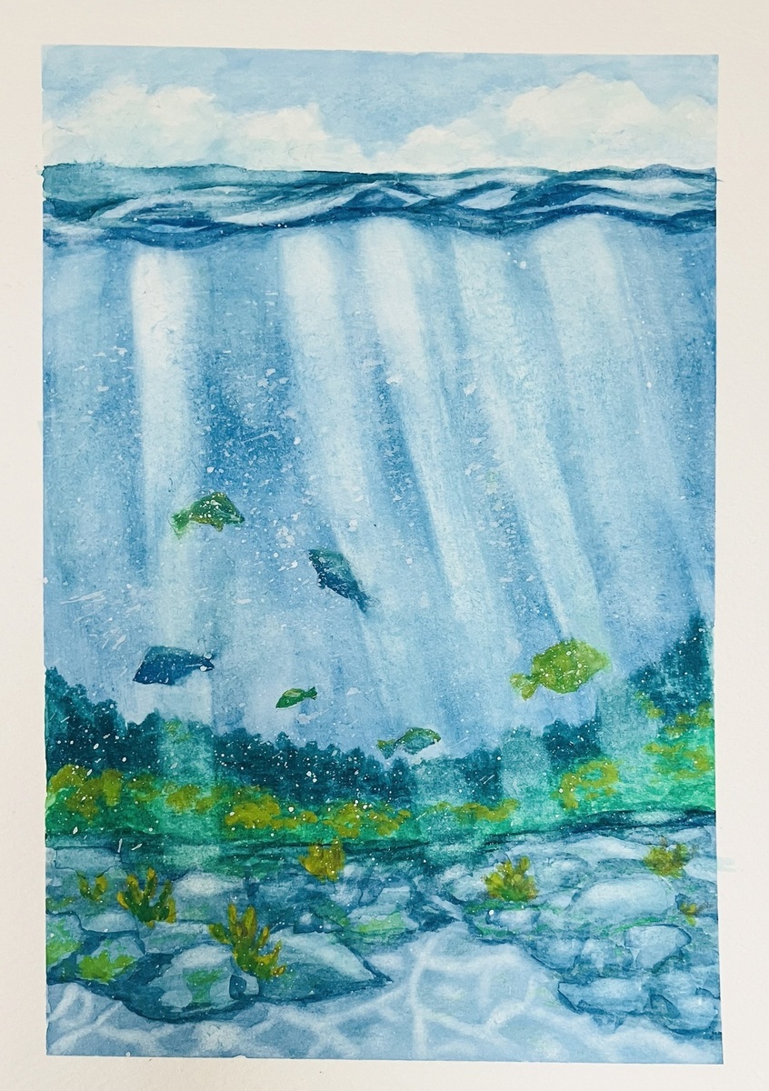 海の森Ⅱ