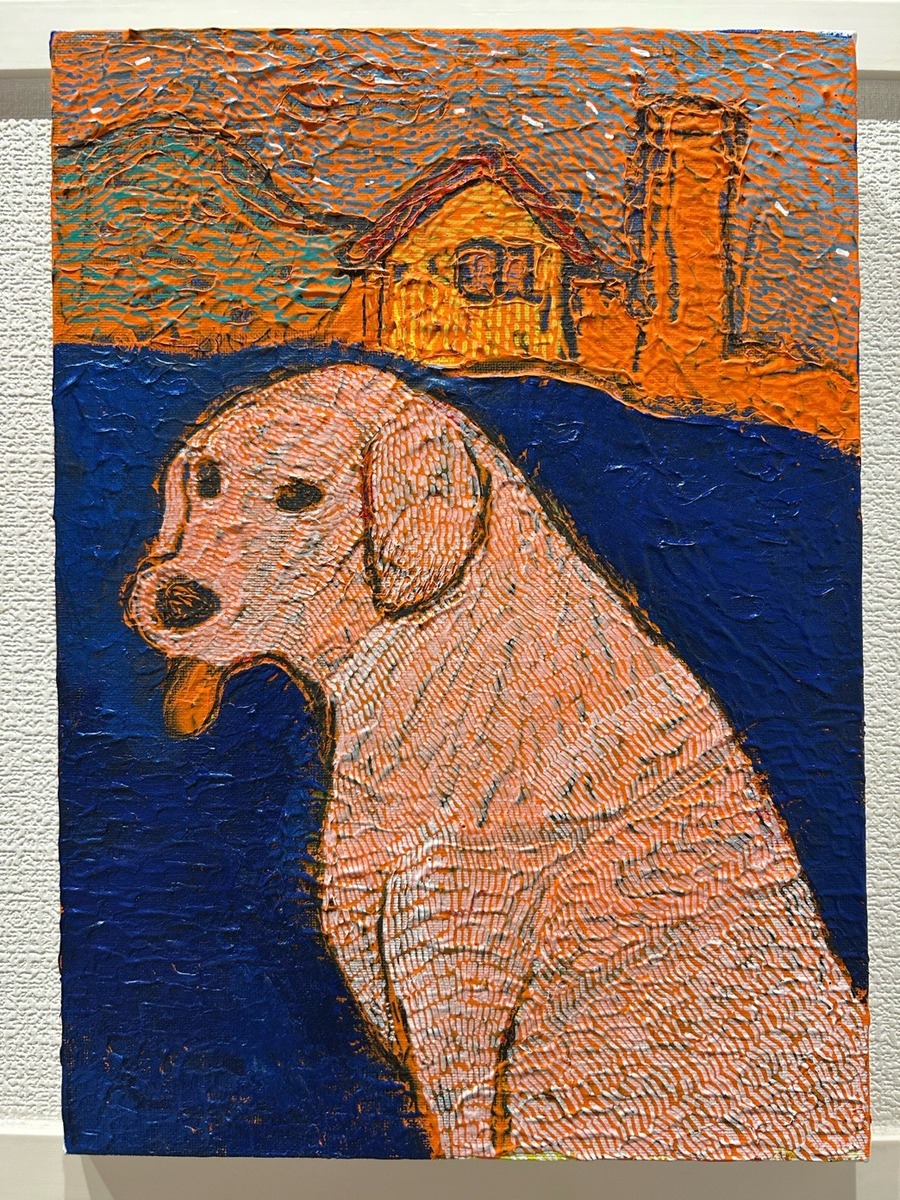 白い犬