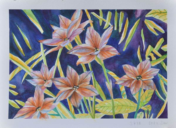 Midnight Flowers