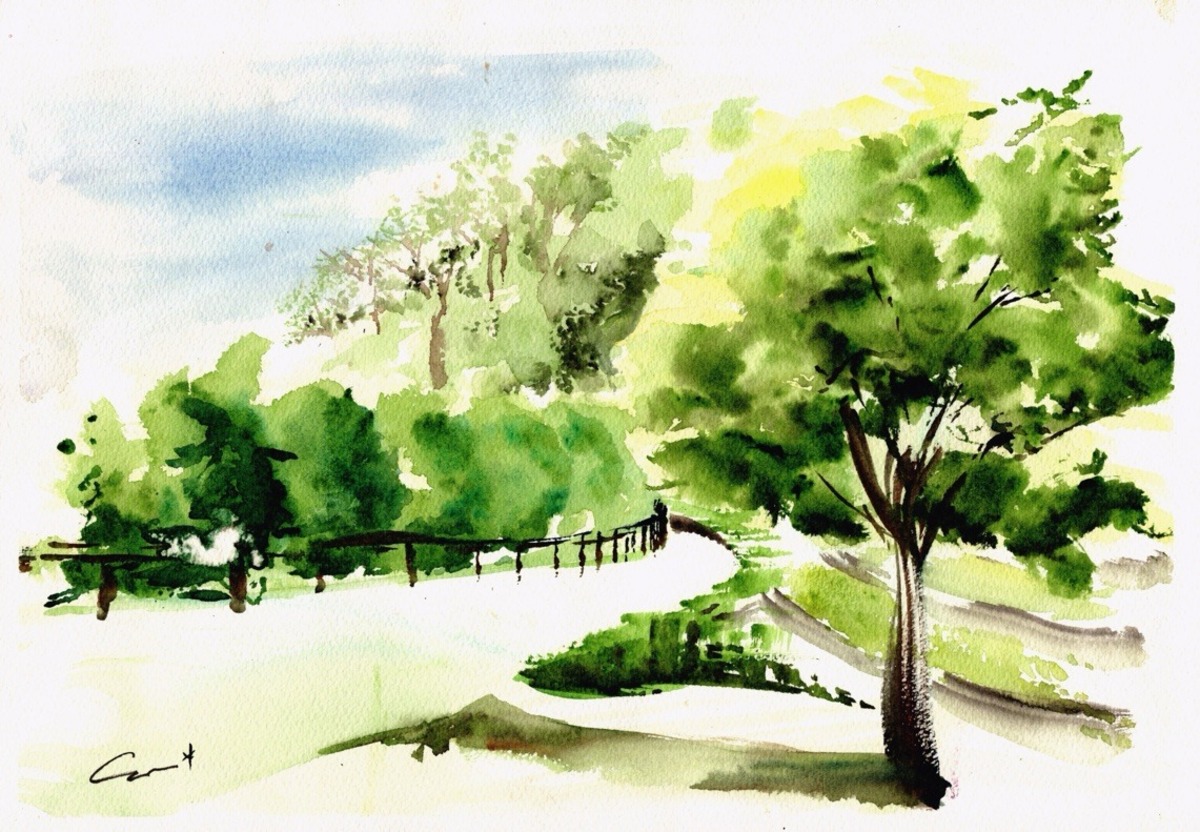 夏の散歩道