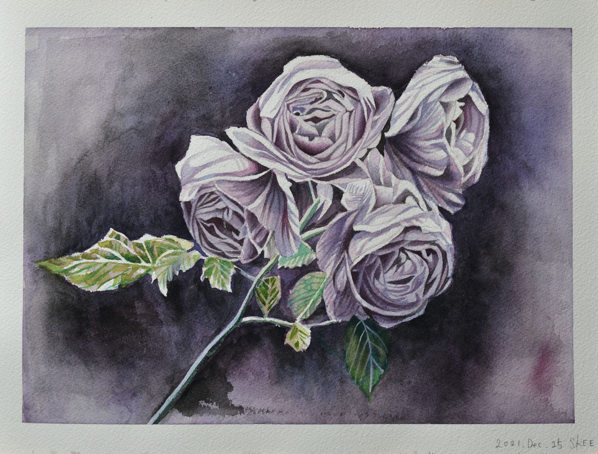 Twilight Roses