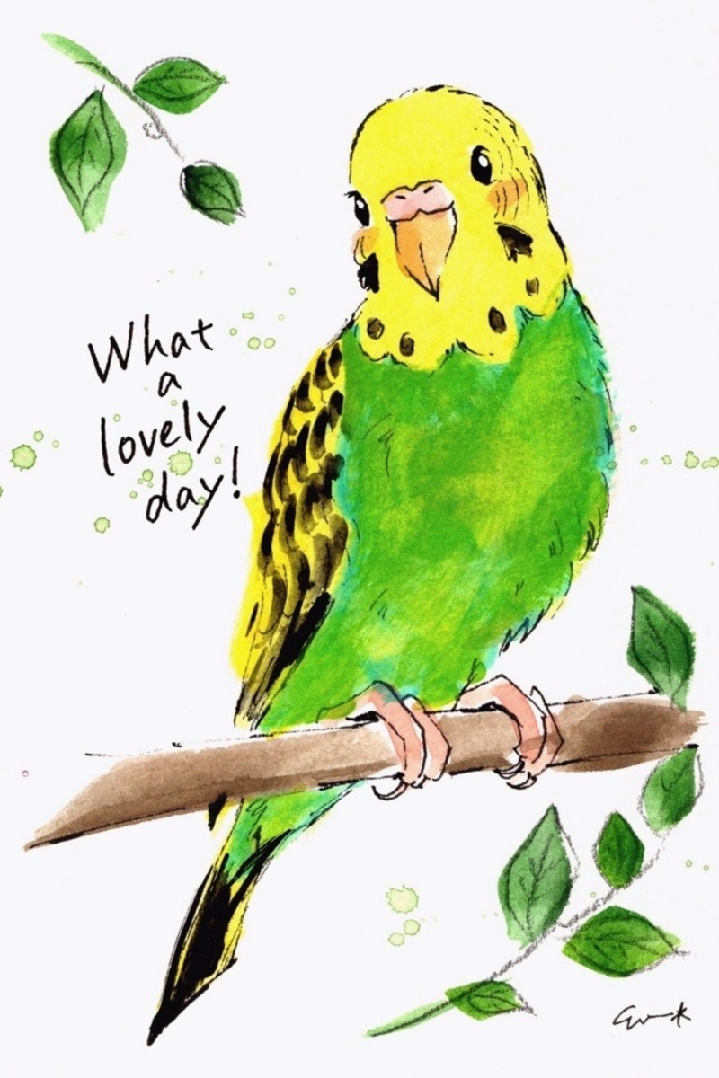What a lovely day!