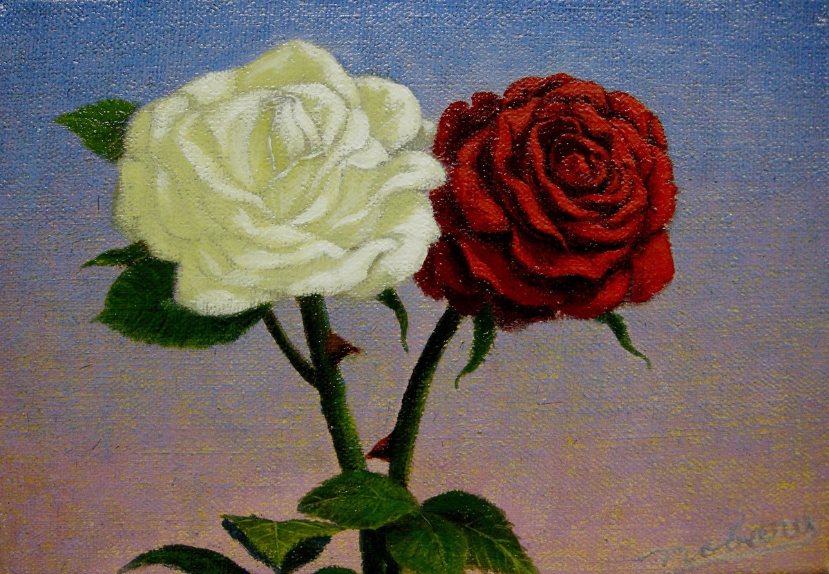 薔薇