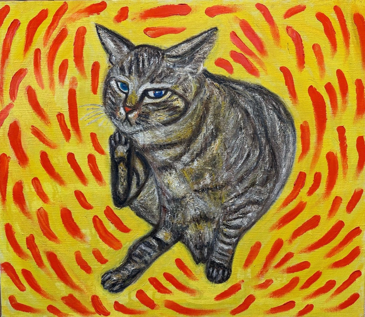 野良猫トラ