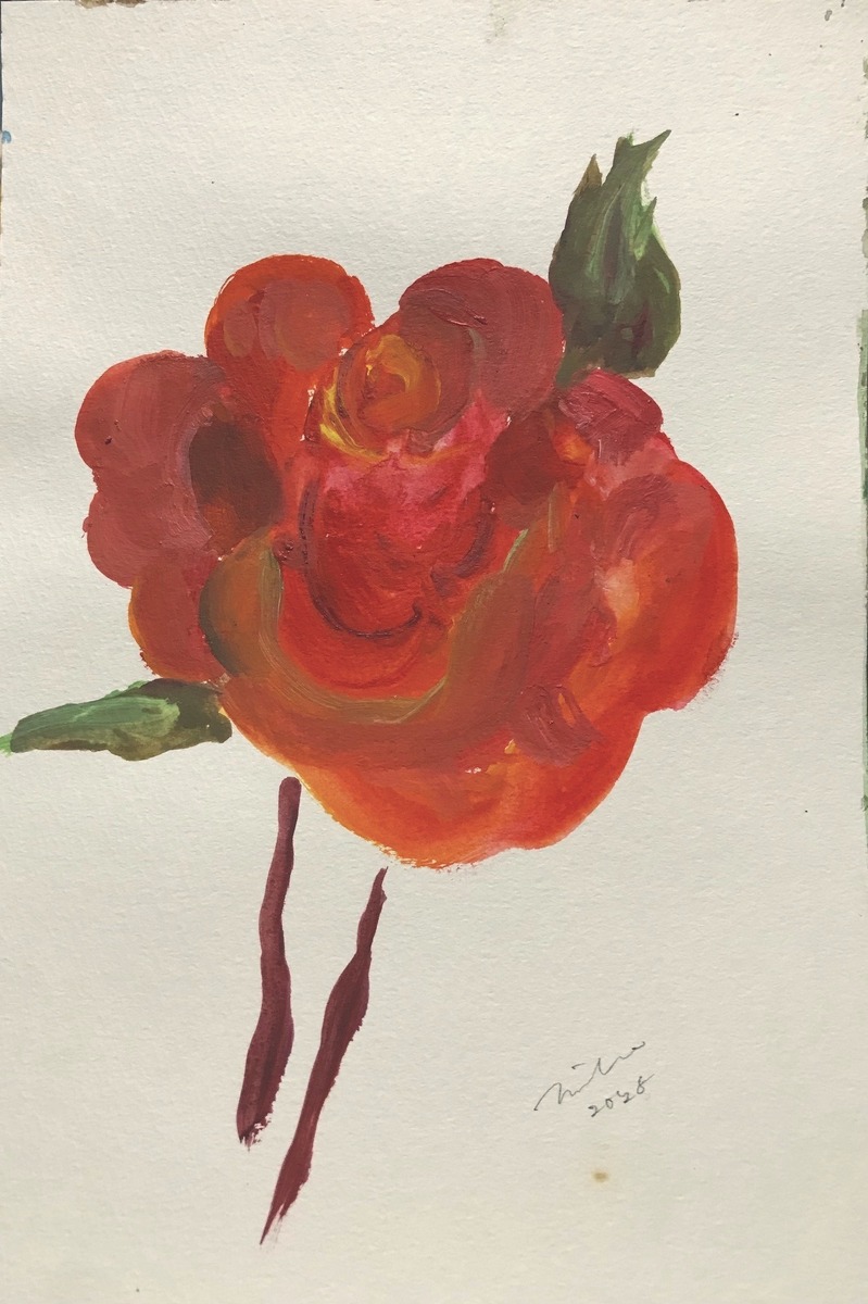 orange rose