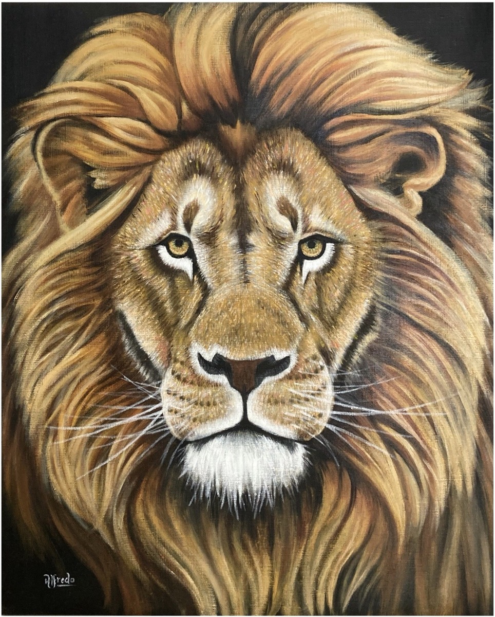 Rey León