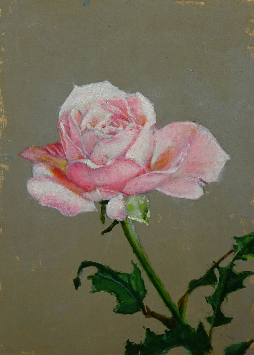 薔薇
