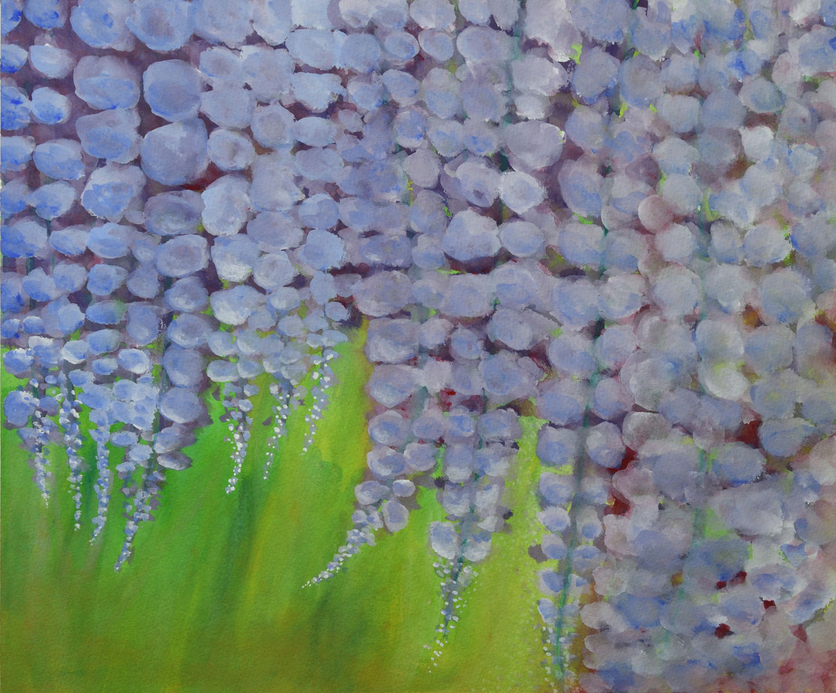 Wisteria Breeze