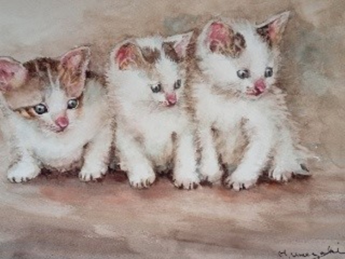 3匹の子猫