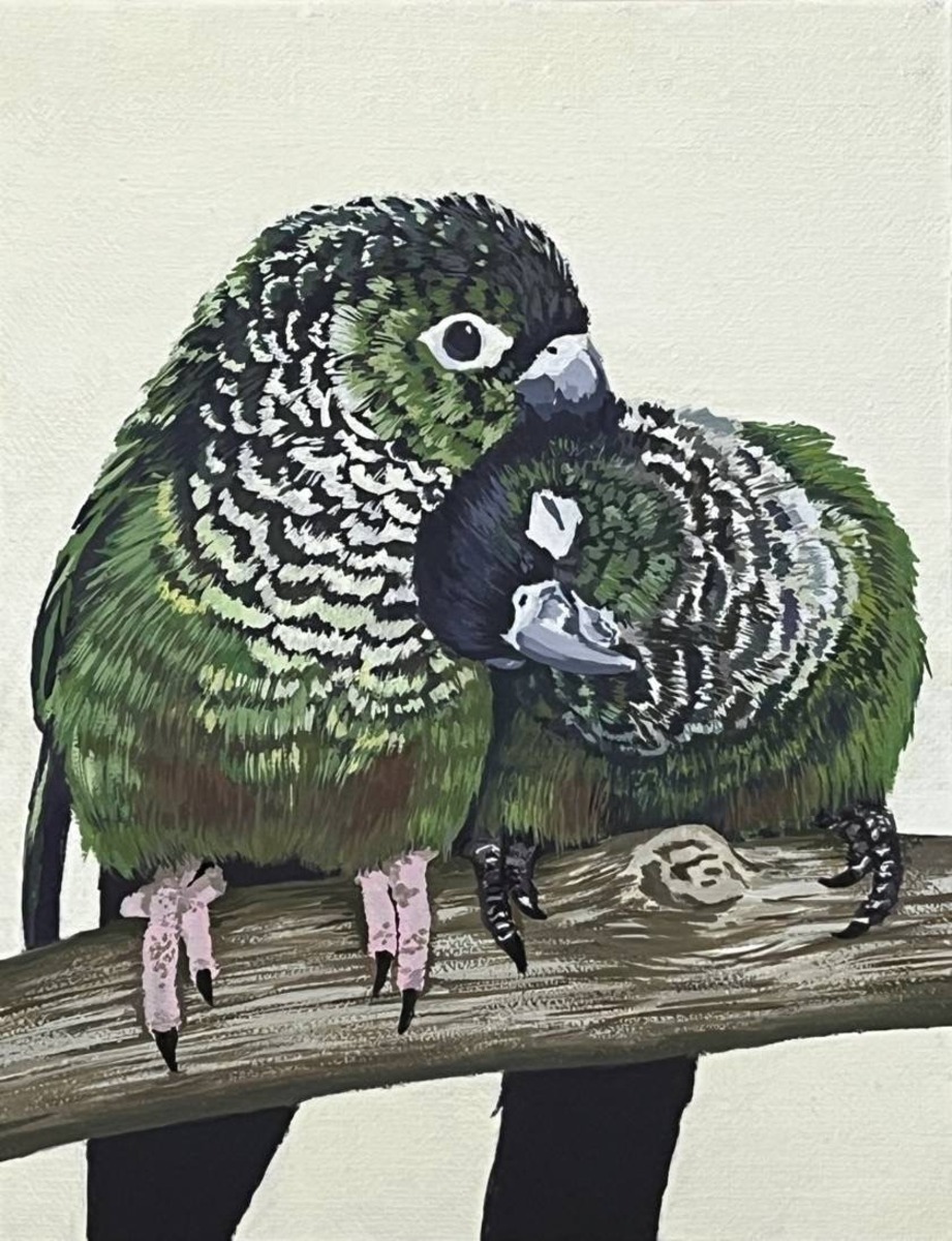 2羽のウロコインコ